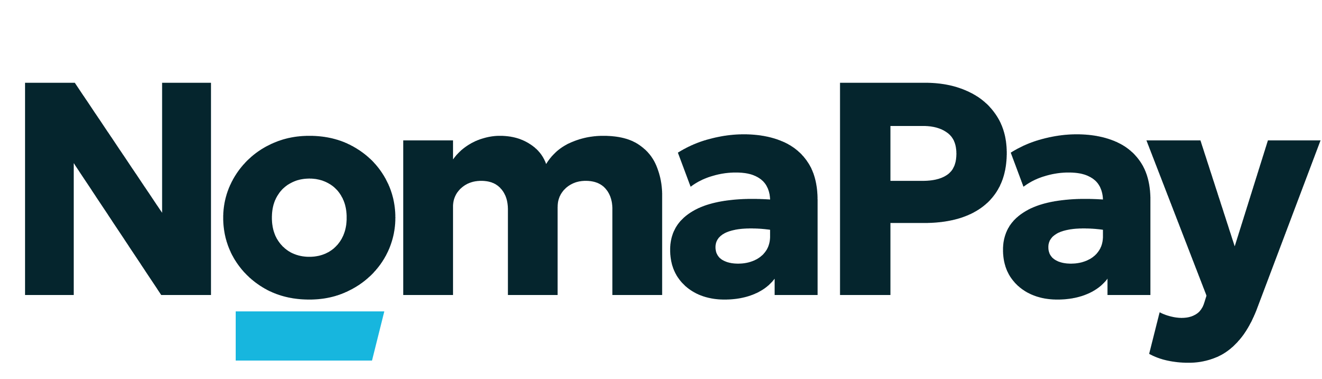 NomaPay Logo Dark